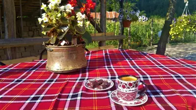 a table with a pot of flowers and a cup of coffee at Стаи за гости - Къща ТОНЧЕВИ in Kalofer