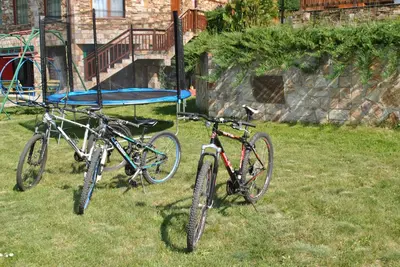 two bikes parked in the grass in a yard at Хотел Планински кът in Dorkovo