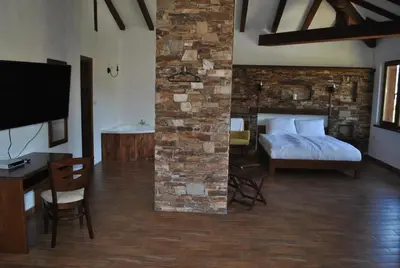 a bedroom with a bed and a desk and a tv at Хотел Планински кът in Dorkovo