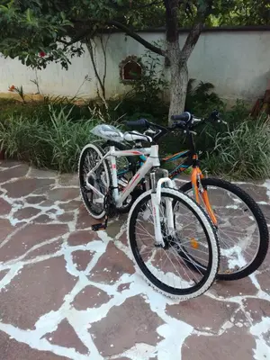 a bike is parked next to a tree at Hadjibulevata Guest House in Kovachevtsi