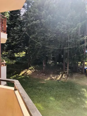 a view from a balcony of a yard with trees at Studio Villa Park Premium Gold in Borovets