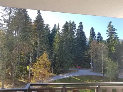 a road in the middle of a forest of trees at Apartments in Borovets Gardens in Borovets