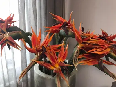 a group of flowers in a vase next to a window at Apartment The Orchid in Sofia