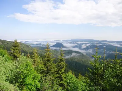 a view from the top of a mountain with trees at Cozy Studio in Mountain Lake Complex Smolyan Pamporovo in Smolyan
