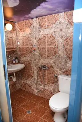 a bathroom with a toilet and a sink at Santa Sofia in Sofia
