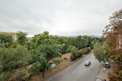 a car driving down a street with trees at Kings Park Boutique Apartment in Sofia