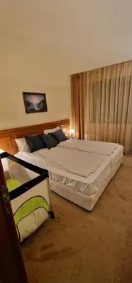 a bedroom with a large bed in a room at Lucy's Apartments Emerald in Bansko