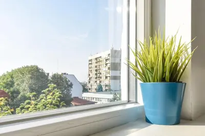 a blue vase sitting on a window sill with a plant at The Ivy House - A Cozy Attic near the City Center by Flat Mаnager in Sofia