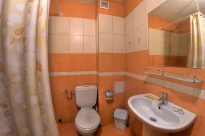 a bathroom with a toilet and a sink at Plaza Family Hotel in Smolyan