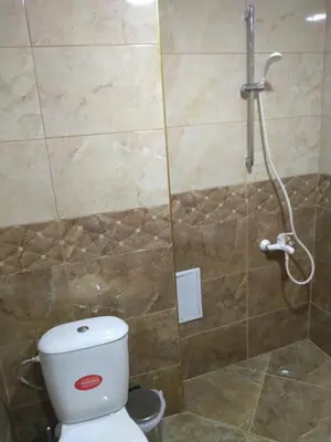 a bathroom with a shower with a toilet and a shower at Семеен Хотел Дани in Asenovgrad