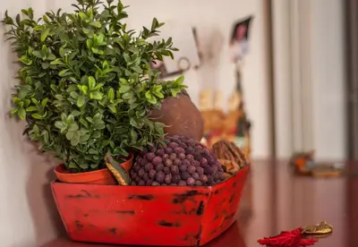 a red planter with plants and fruit on a table at Bansko Royal 721 Apartment in Bansko