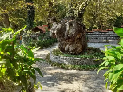 a statue of a tree stump in a garden at Семеен Хотел Хайдутите in Sandanski