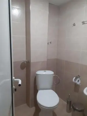 a bathroom with a white toilet and a sink at Семеен Хотел Хайдутите in Sandanski
