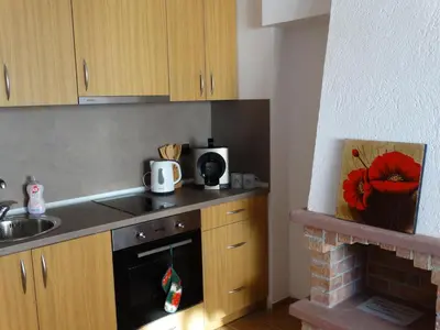 a kitchen with a stove and a sink and a fireplace at Simon's studio in Bansko