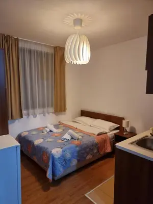 a bedroom with a bed and a sink in it at BanskoSuperSki in Bansko