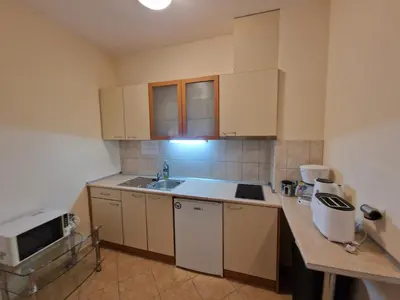 a small kitchen with a sink and a microwave at Flora Apartments TMF in Borovets