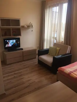 a living room with a couch and a chair and a television at Borovets Gardens Apartments TMF in Borovets