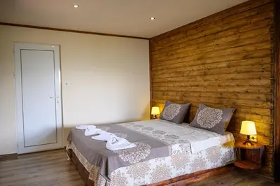 a bedroom with a bed with a wooden wall at Medi Guest House in Sapareva Banya