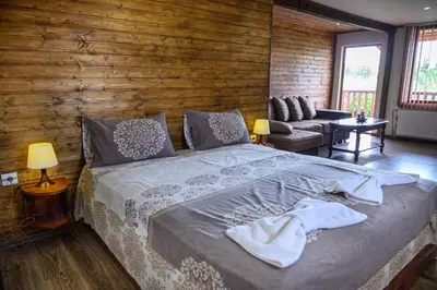 a bedroom with a large bed and a wooden wall at Medi Guest House in Sapareva Banya