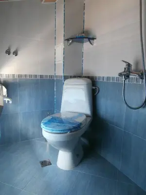 a blue bathroom with a toilet with a blue seat at Apartments in House Silent Nature in Sandanski