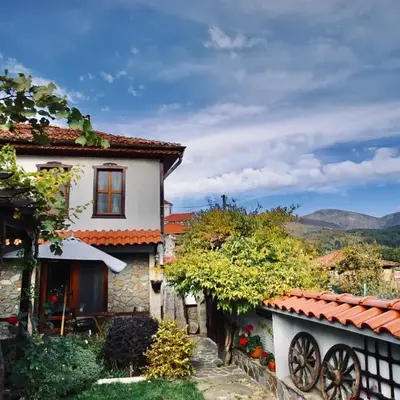 Iliikova House
