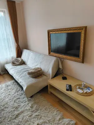a living room with a couch and a television at Evrika home 5 in Pamporovo