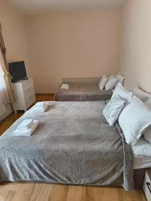 a bedroom with two beds and a television in it at Evrika home 19 in Pamporovo