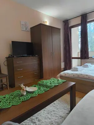 a room with a bed and a coffee table at Evrika home 21 in Pamporovo