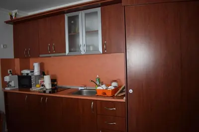 a kitchen with wooden cabinets and a sink at Ski 'Inn Monastery 3 Ski-to-Door in Pamporovo