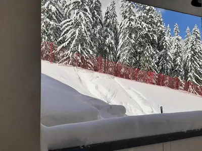 a picture of a snow covered fence and trees at Ski 'Inn Monastery 3 Ski-to-Door in Pamporovo