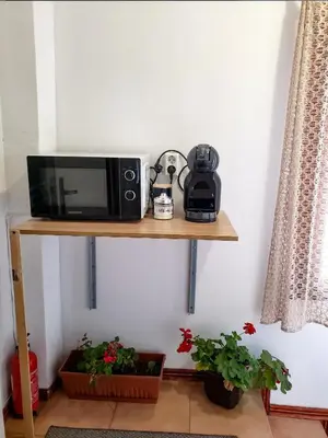 a microwave on a shelf in a room with plants at Guest Rooms- KLEPALSKI House in Borovets