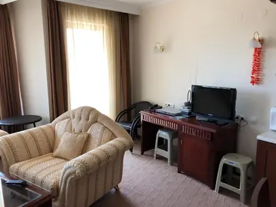 a living room with a couch and a television at Mountain View Apartment in Bansko