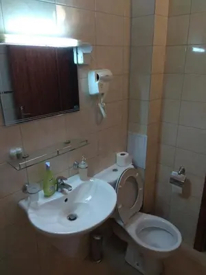 a bathroom with a sink and a toilet and a mirror at Elitsa Apartment in Pamporovo