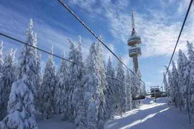 a ski lift with a bunch of snow covered trees at Elitsa Apartment in Pamporovo