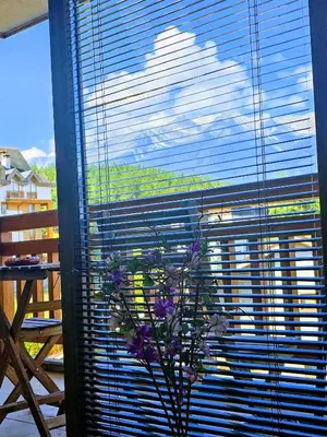 a plant in a vase sitting in a window at Emerald Buddha Apartment in Bansko