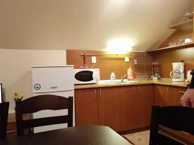a kitchen with a sink and a microwave at Studio at Home Pamporovo in Pamporovo