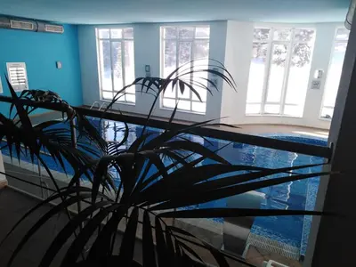 a plant in a room with a swimming pool at Спа,ски апартамент Дайли, Стрийм Ризорт Пампорово in Pamporovo