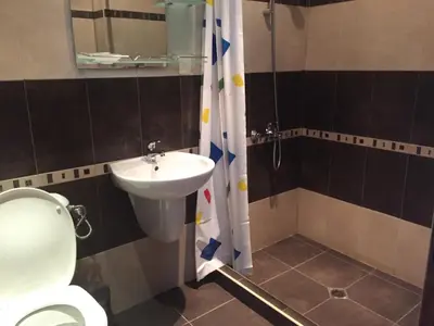 a bathroom with a sink and a toilet and a shower at Къща за гости Спасителна in Brezhani
