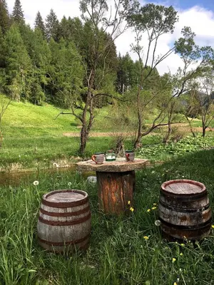 three old tires and a table in a field at Къща край реката - Триград in Trigrad