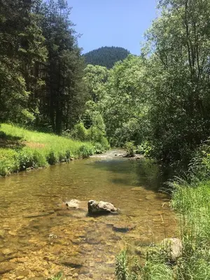 a river with a rock in the middle of it at Къща край реката - Триград in Trigrad