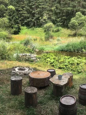 a group of logs sitting in the grass next to a pond at Къща край реката - Триград in Trigrad