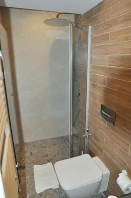 a bathroom with a shower and a white toilet at SPA Complex Belchin Spring in Belchin