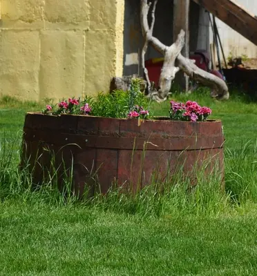 a wooden planter filled with flowers in the grass at Villa Aya in Smochevo