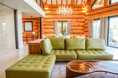 a living room with a green couch and a table at Alpina Luxury Chalets in Banya