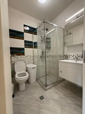 a bathroom with a shower and a toilet and a sink at Valentina Bg Apartment in Sofia