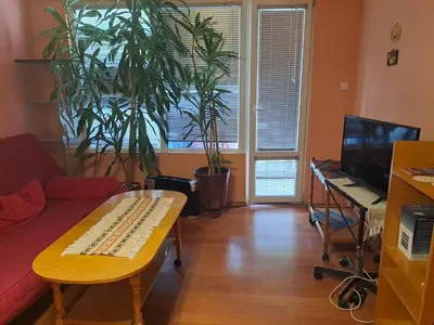 a living room with a couch and a table and a plant at Apartment Milevi in Teteven