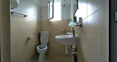 a small bathroom with a toilet and a sink at VILLA IRINA - Govedartsi in Govedartsi