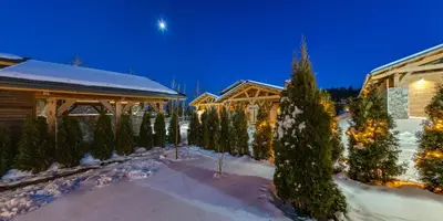 a house with trees in the snow at night at Mountain Hawk Park in Bansko