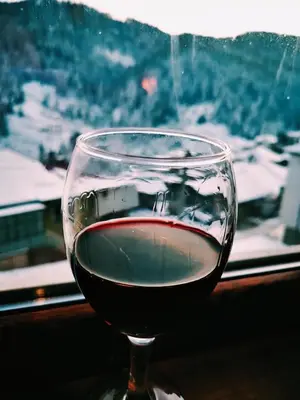 a glass of wine sitting in front of a window at Къща за гости Виевци in Vievo