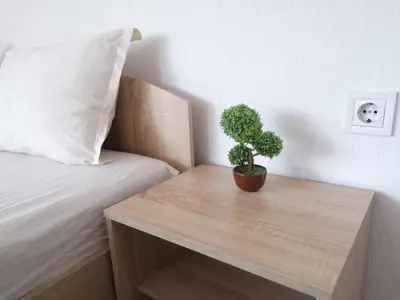 a potted plant on a wooden table next to a bed at Роден Край Homeland in Sopot
